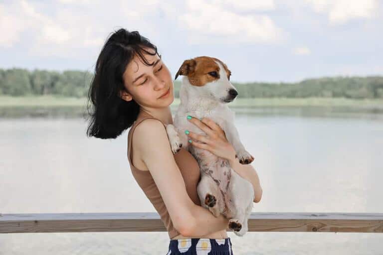 Jack Russell Terrier Cena Z Rodowodem